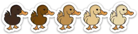 May 2023 sticker by White Duck Espresso